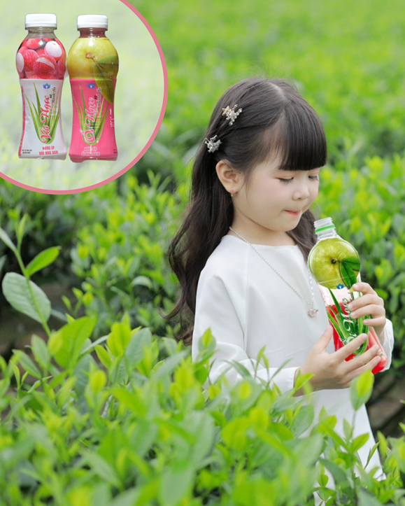 Dây chuyền sản xuất Thiện Anh